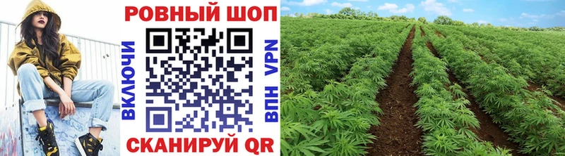 Купить наркотики Челябинск A-PVP  Мефедрон  АМФ  Гашиш 