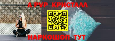 СК Новокубанск