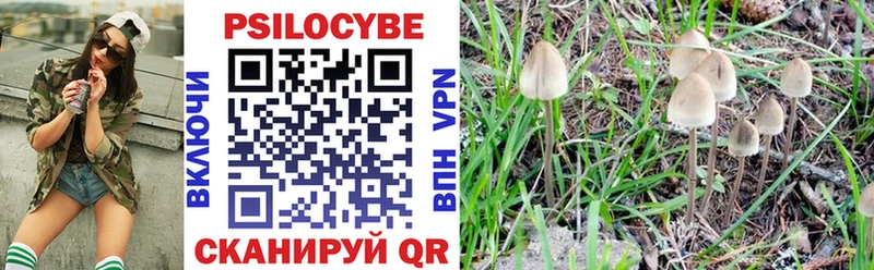 Галлюциногенные грибы прущие грибы  Челябинск 