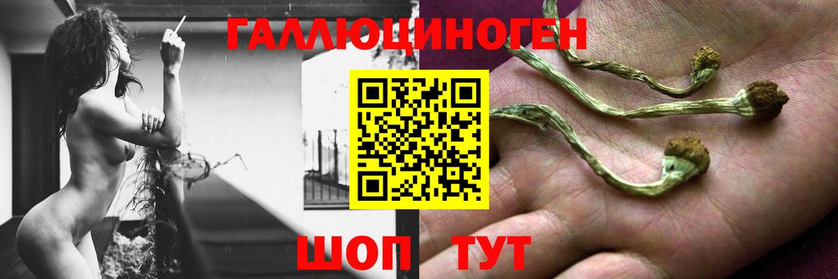 Галлюциногенные грибы прущие грибы Челябинск