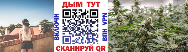 продажа наркотиков  Челябинск  Канабис VHQ 